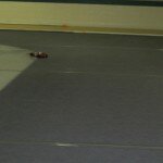 IMG_0728